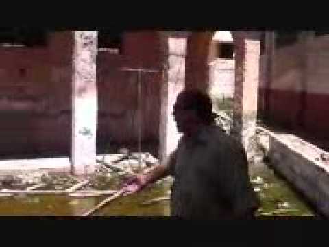 مهزلة مركز شباب كفر الدوار الرئيسي كشف اللا مستور من حزب الغد1