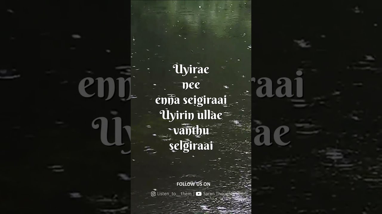 Azhage ne yengirukkirai | siragugal vanthathu whatsapp status | Yuvan Shankar Raja | saran thoughts