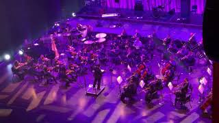 Grand opening steinmetz hall Orlando