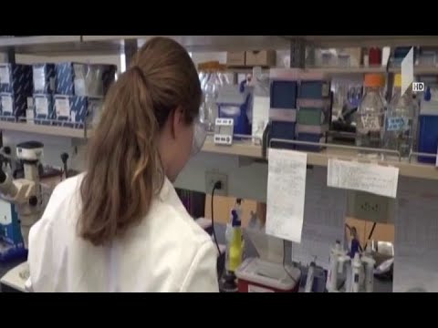 ჯანდაცვის მსოფლიო ორგანიზაციის განცხადება