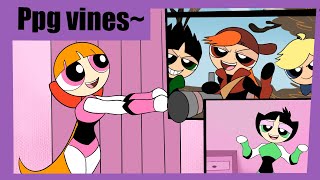 Powerpuffgirls vines~~~