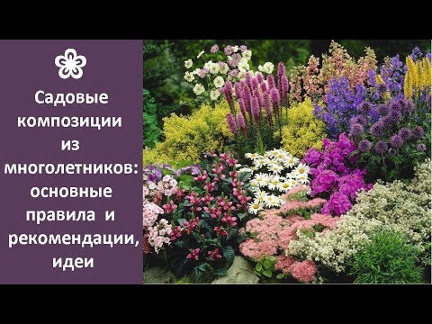 Красивые клумбы из многолетников своими руками на даче фото