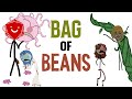 D D S Best Bag Of Beans D D S Best Bag Of Beans