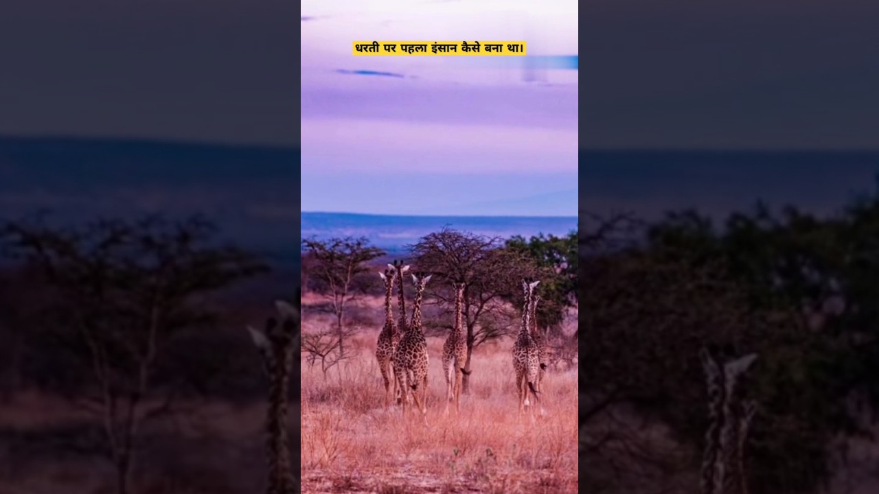 “जानें सच्चाई! पृथ्वी पर इंसान कैसे बना? 📢”। #shots  #earth