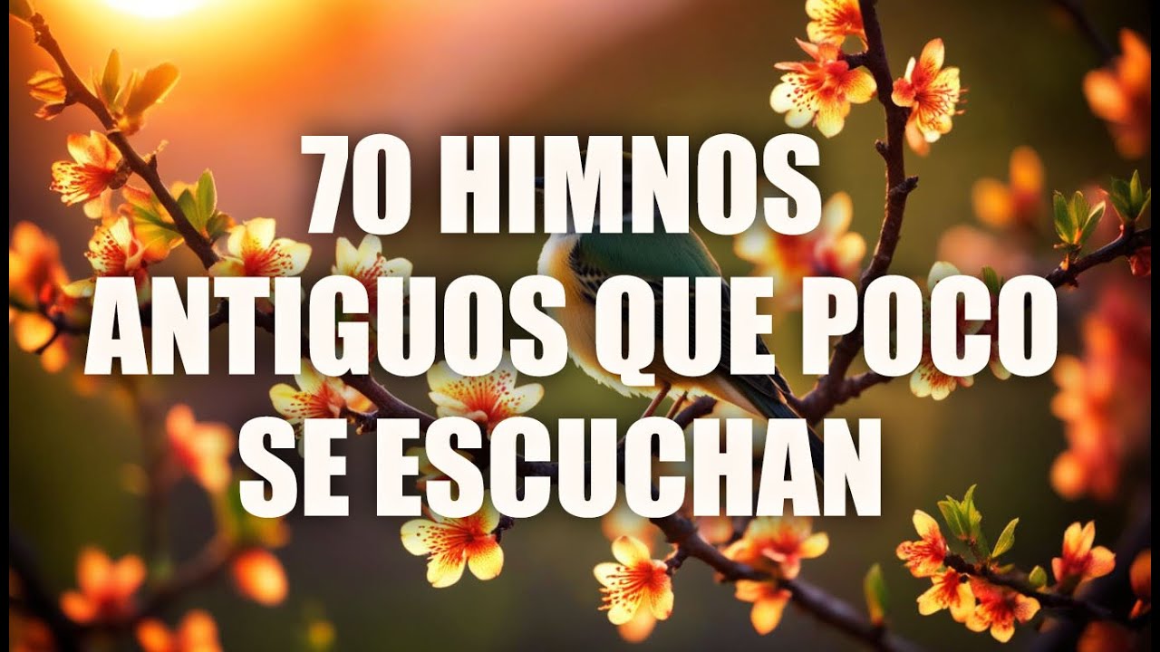 LINDOS HIMNOS EN ESTOS TIEMPOS YA NO SE ESCUCHAN - 40 HIMNOS ANTIGUOS MEJOR SELECCIONADOS 2025 🌹
