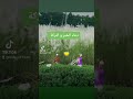 دعاء الخير و البركة الزمه في يومك 