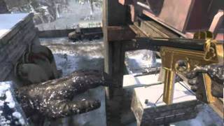Featuring: Epic Dolphin Dive by Difter in WMD