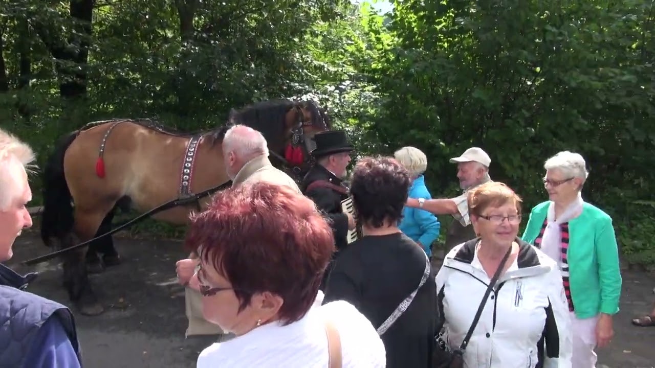 Polen 2016 Planwagenfahrt am San