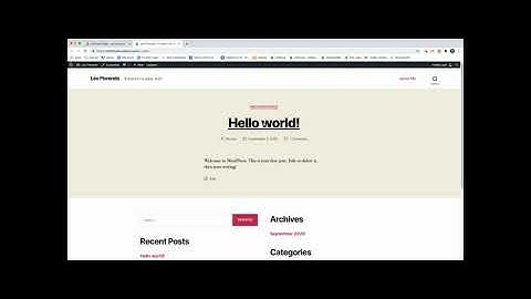 WordPress 06 Home page and removing default widgets