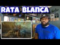 Rata Blanca - La Leyenda Del Hada y El Mago | REACTION