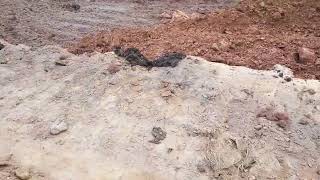 VID 20171227 095118
