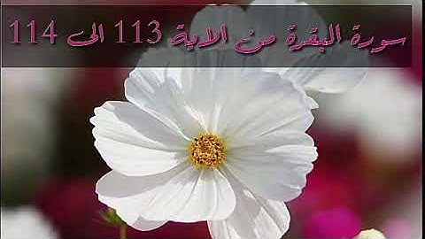 حفظ سورة البقرة من الاية 113 الى 114 بالتكرار
