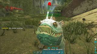 ARK: Survival Evolved - official PvP