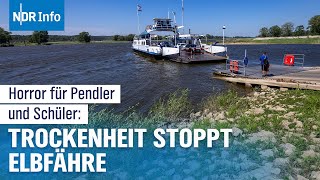 Dürre und Niedrigwasser in Deutschland: Elbfähre "Tanja" muss Betrieb einstellen | NDR Info