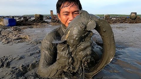 Quá Khứ Cặp Cá Ngát Rồi Không Tin Nổi Là Hai Con Nằm Ở Dưới Luôn /Đạt Nguyen cần Gio