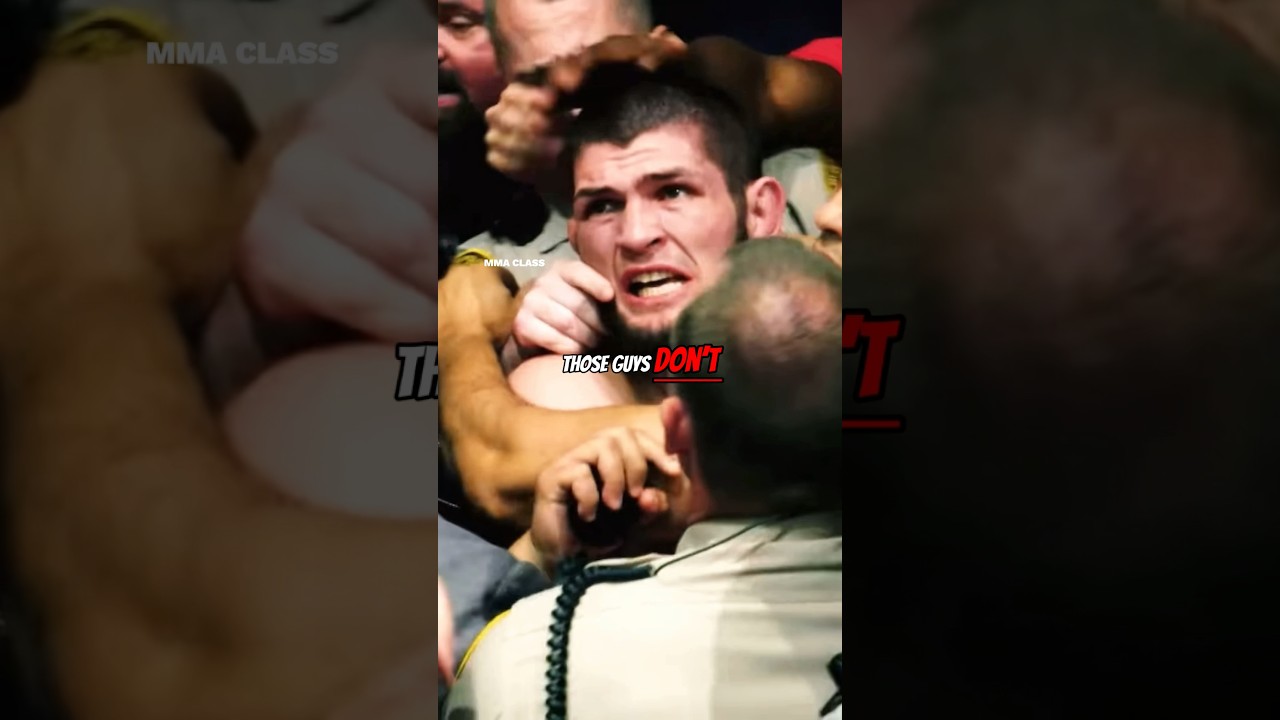 DC on the UFC 229 Brawl💥