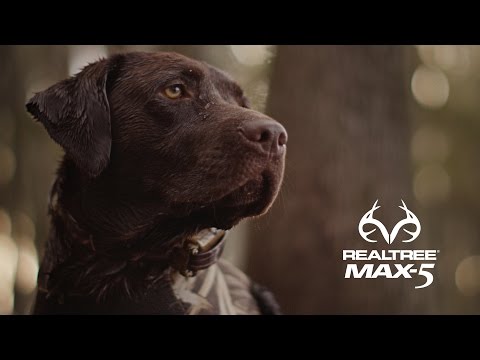 Realtree | Max-5
