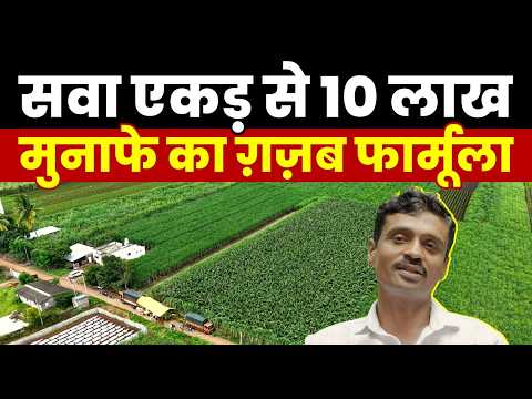 सवा एकड़ में 55 टन केला, 96 फीसदी किया एक्सपोर्ट,  गन्ना उत्पादन में नंबर 1 रह चुका ये किसान