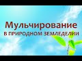 Природное земледелие - Мульчирование