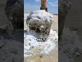 This Lake Contains Unlimited Salt🤯