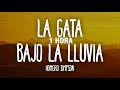 [1 HORA] Homero Simpson - La Gata Bajo La Lluvia (Letra/Lyrics) AI Cover