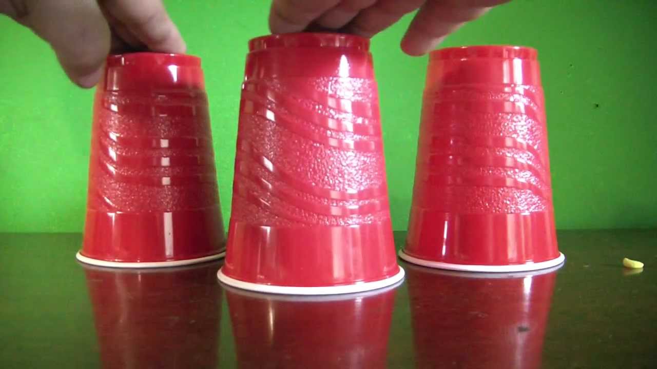 ball in cup game