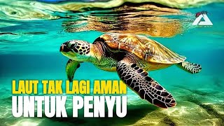 PENYU: PERJALANAN HIDUP YANG PENUH ANCAMAN