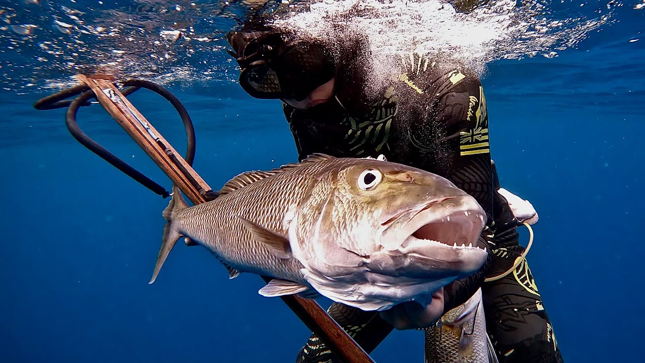 Hawaii Spearfishing | INSANE Shoredive Action! | Spearfishing For Big Ukus And More!
