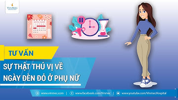 Sự thật thú vị về ngày đèn đỏ ở phụ nữ