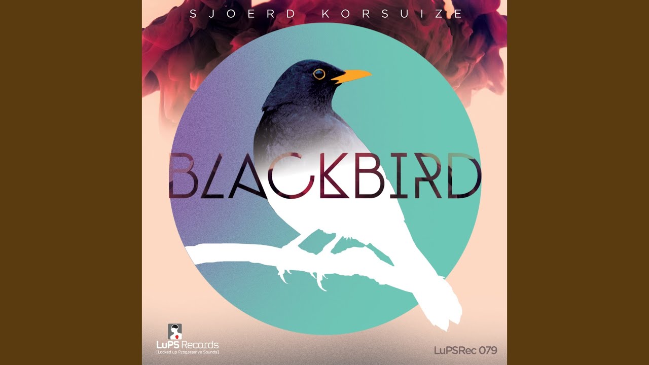Watch Blackbird (Original) on YouTube Watch Blackbird (Original) on YouTube