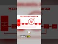 👉 ¿Qué es SCRUM y cómo funciona en el desarrollo ágil?