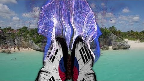 Korea South Flag Butterfly Gorgeous Particle Light Trailing Flying Transtion V4 | Motion Graphics -