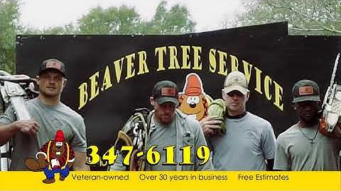 BEAVER Tree Service (No AMATEURs promo)