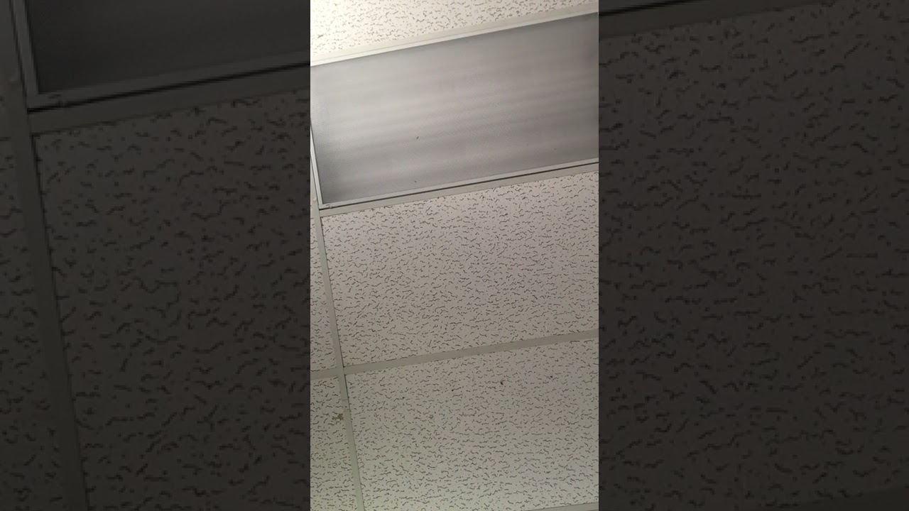 Thinking about Swiper The Fox ( with struggle )