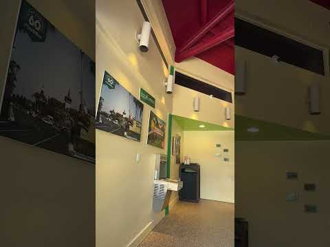 Mermaid from Sea World by June Armstrong