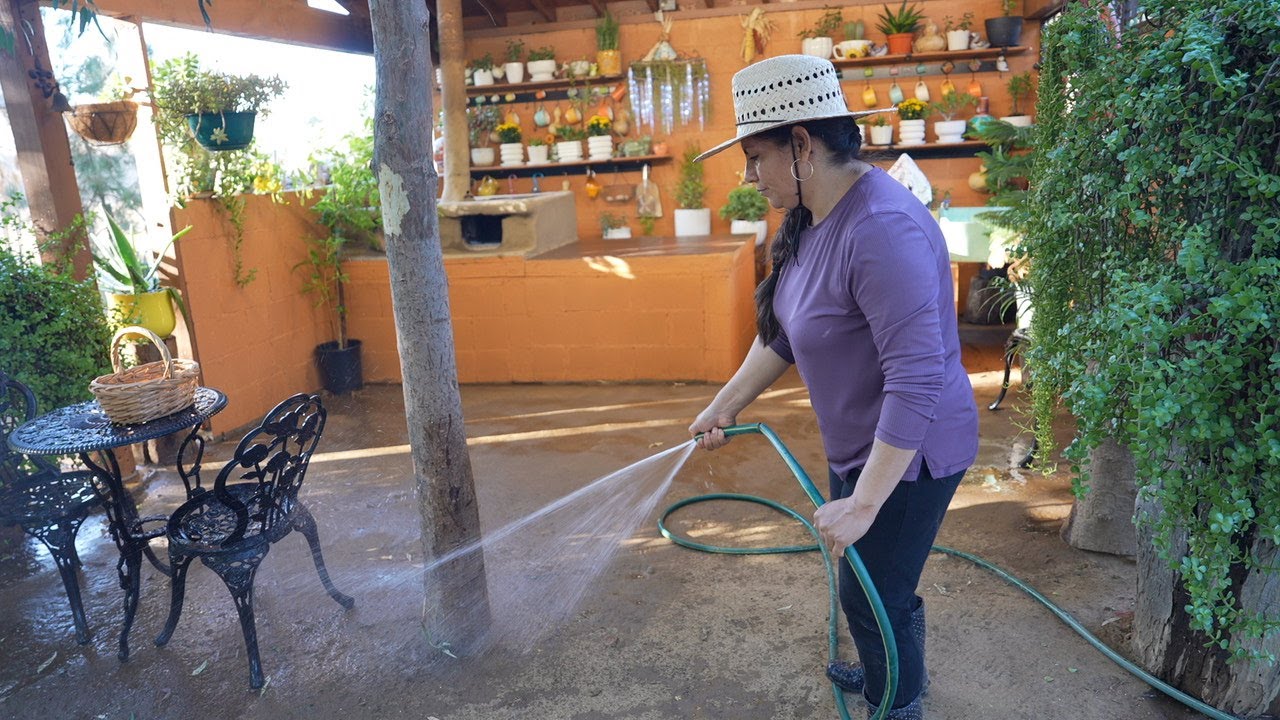 Remplacando Las Plantas De La Cocina Y Maseteros Nuevos