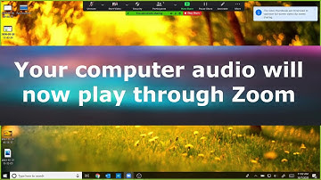 Share Computer Audio in Zoom