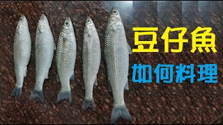 [DIY達人#14] 如何DIY料理豆仔魚? How to DIY cook mullet? 