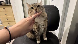 Cat licking my finger for one minute