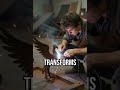 Witness the magic of transformation! #ArtisticJourney #CreativeProcess #PhoenixRising