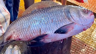 Incredible Huge Katla Fish Cutting Skills Live In Fish Market | Fish Cutting Skills