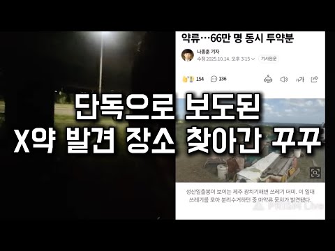제주도 중국산 X약 발견 현장
