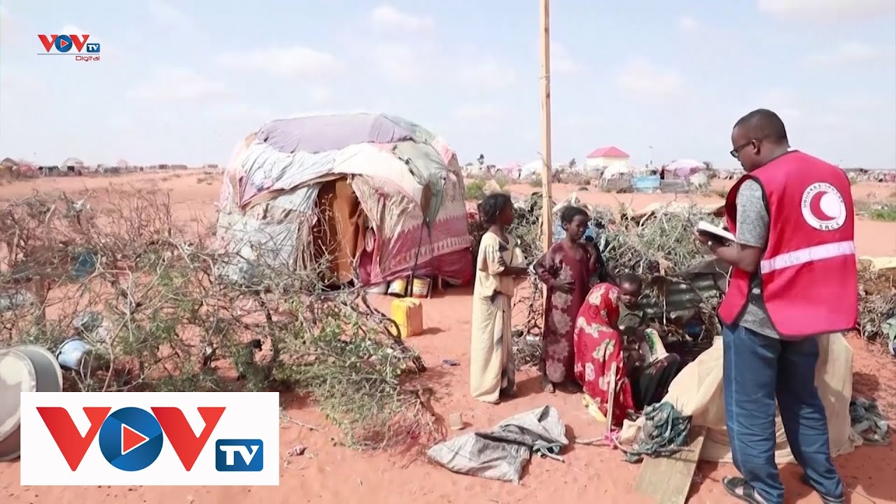 Thảm cảnh ở Châu Phi: Nạn đói đang dần hiển hiện | VOVTV - YouTube
