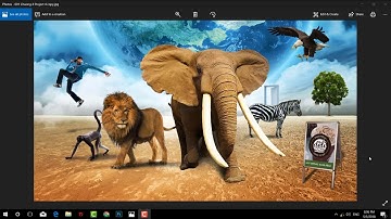 Học sử dụng photoshop từ A-Z | Vùng chọn trong photoshop | sử dụng lasso tool #12