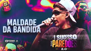 PEDRINHO PISADINHA - Pega a Maldade Da Bandida ( O SUCESSO DOS PAREDÕES 2.0 )
