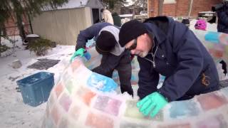 Celebrity Colored Backyard Igloo in Brantford, Canada Net Worth