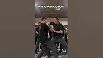 Mastering Wing Chun's Devastating Elbow Strikes: Unleashing Close-Range Power - Master Tu Tengyao
