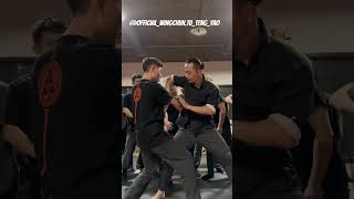 Mastering Wing Chuns Devastating Elbow Strikes Unleashing Close-Range Power - Master Tu Tengyao
