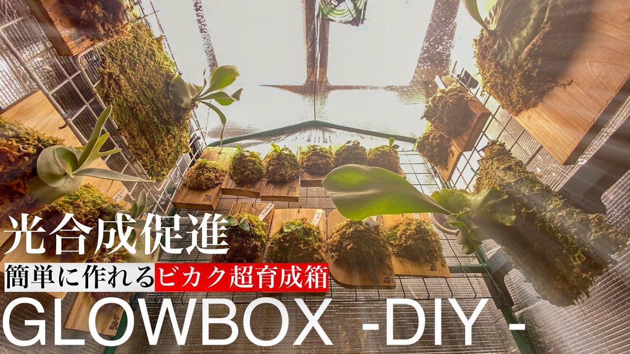 植物栽培 グロウ テント 自作 温室 簡易温室 ミニ温室 家庭用 家庭菜園 