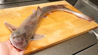 フカ サメ のさばき方と湯引きの作り方 ホシザメ Youtube